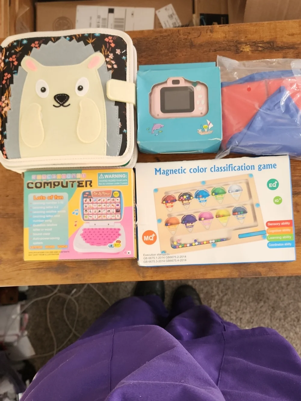 Bundle, 5 Hedgehog Travel Book, Camera, Sandbox/pool, Computer, Magnetic Puzzle